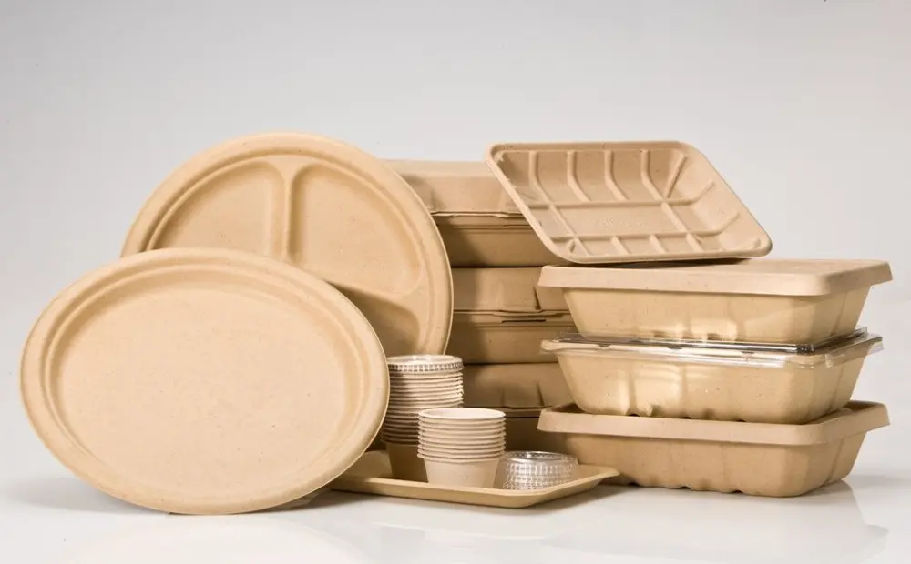 生活-家居-消委會-環保即棄餐具-食物盒-走塑