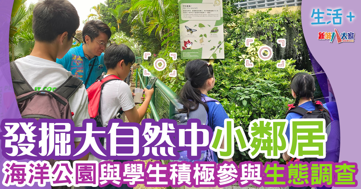 保育活動|海洋公園與學生積極參與生態調查 發掘大自然中的小鄰居 生活-動物保育-好去處-海洋公園-生態調查
