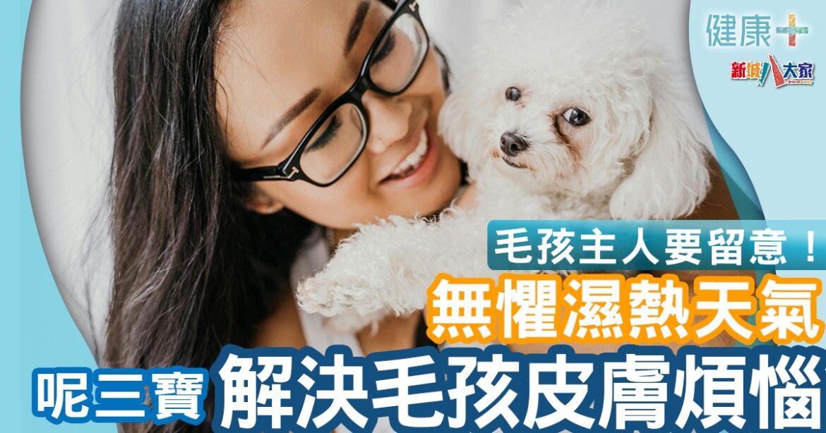 寵物健康 | 無懼寵物濕熱天氣皮膚問題 香港科大長效智能抗病毒塗層MAP-1 一招解決寵物三大問題