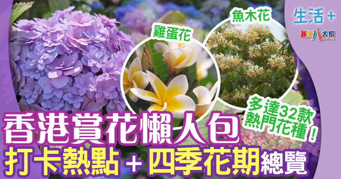 香港賞花｜ 一文睇晒四季花期、最佳觀賞地點、熱門花種