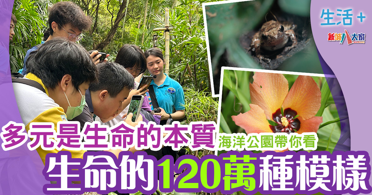生活-保育活動-海洋公園-生命教育