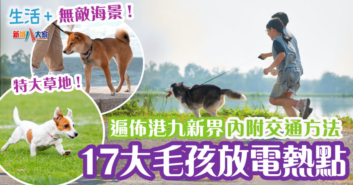 寵物好去處｜17個人氣寵物公園 特大草地任跑+超靚打卡海景 內附交通方法/開放時間/設施配置