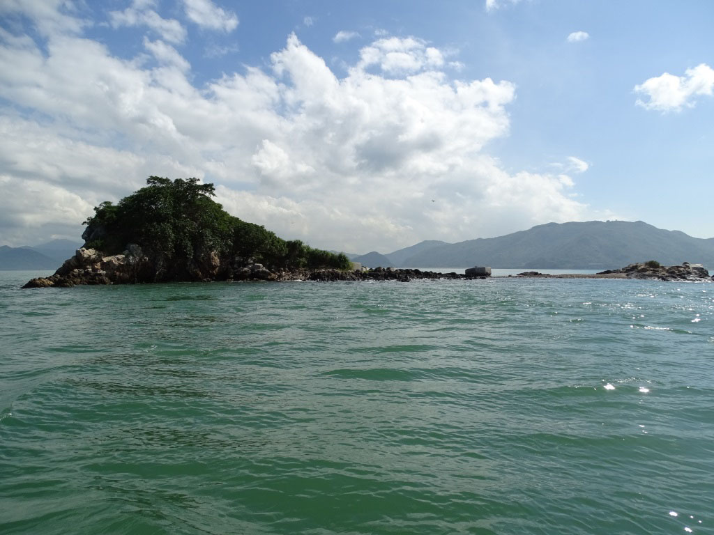 海岸公園-保育-海洋生物-好去處14