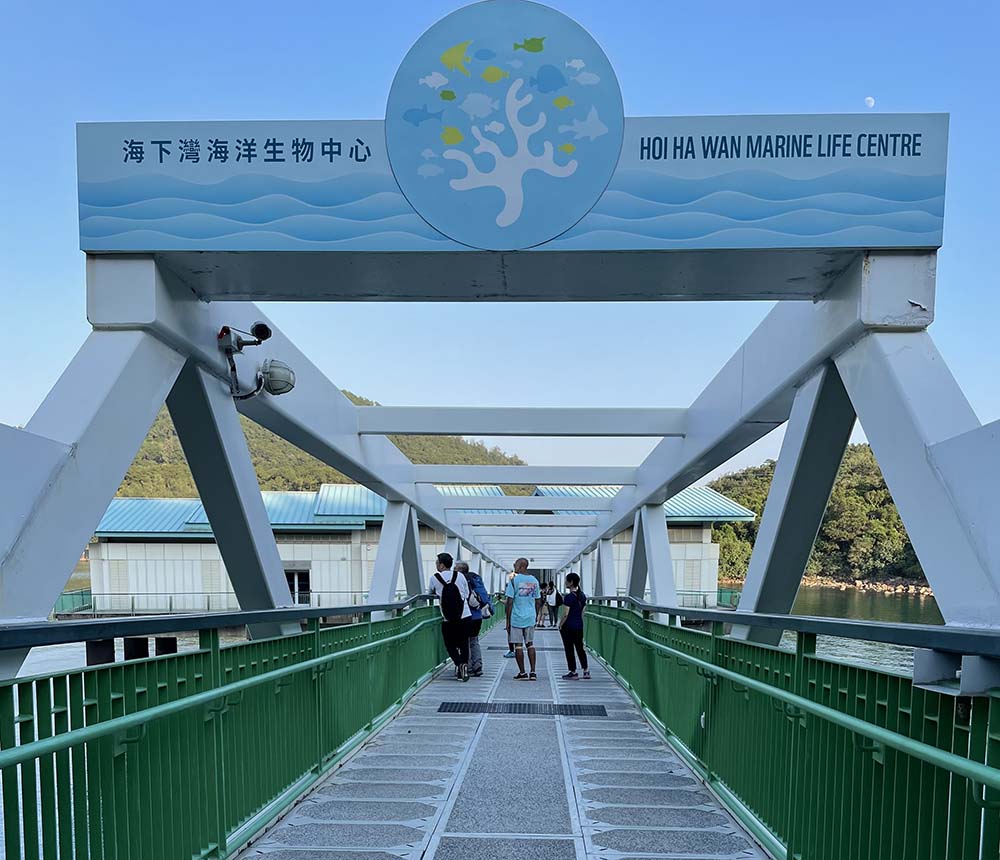 海岸公園-保育-海洋生物-好去處3