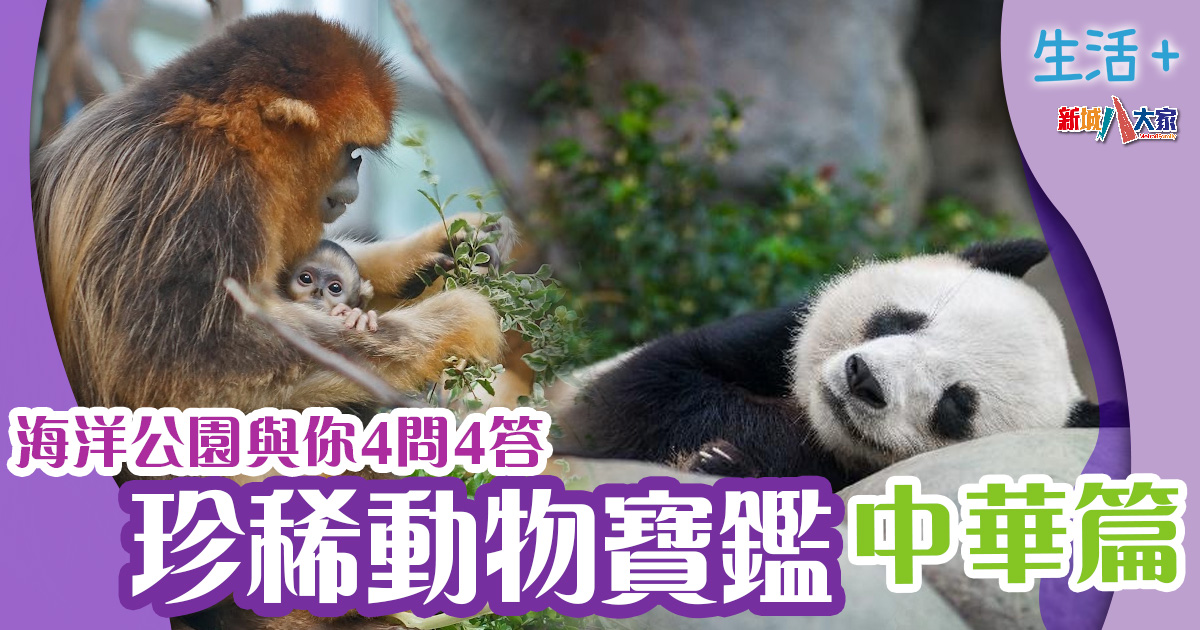 生活-生態保育-海洋公園-珍稀動物-中華篇