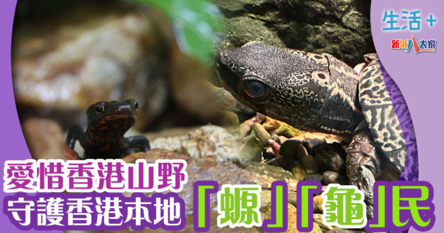 生活-生態保育-海洋公園-香港山野-動物物種