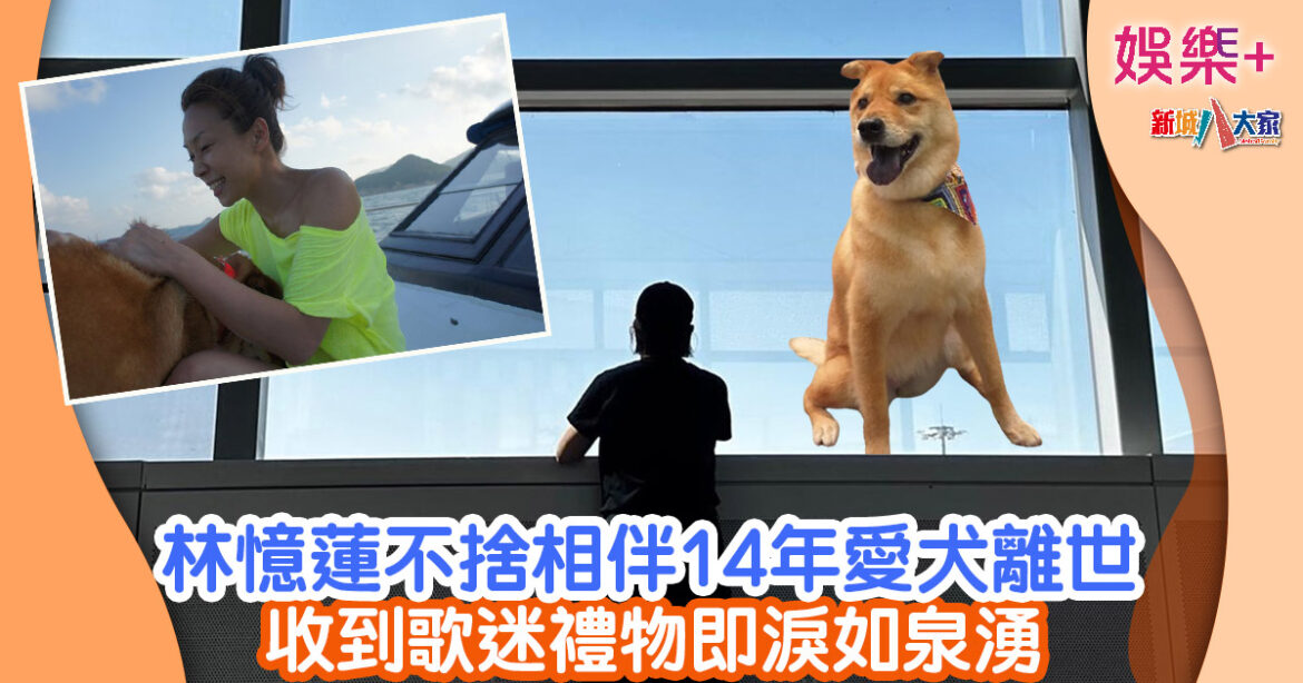 林憶蓮不捨相伴14年愛犬離世 收到歌迷禮物即淚如泉湧