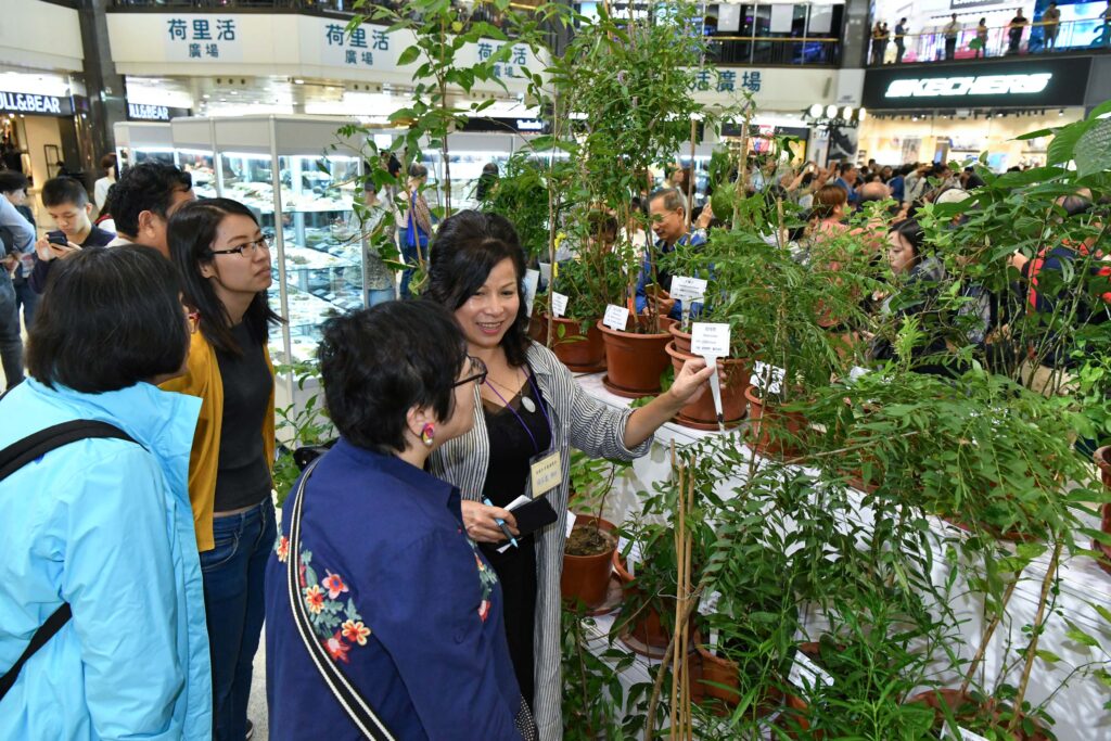 生活-好去處-國慶-中醫藥-博覽-嘉年華