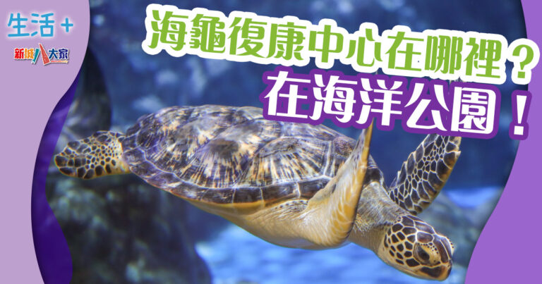 動物保育｜海龜復康中心在哪裏？在海洋公園！