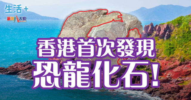 生活-香港-恐龍化石-赤洲島-文物探知館