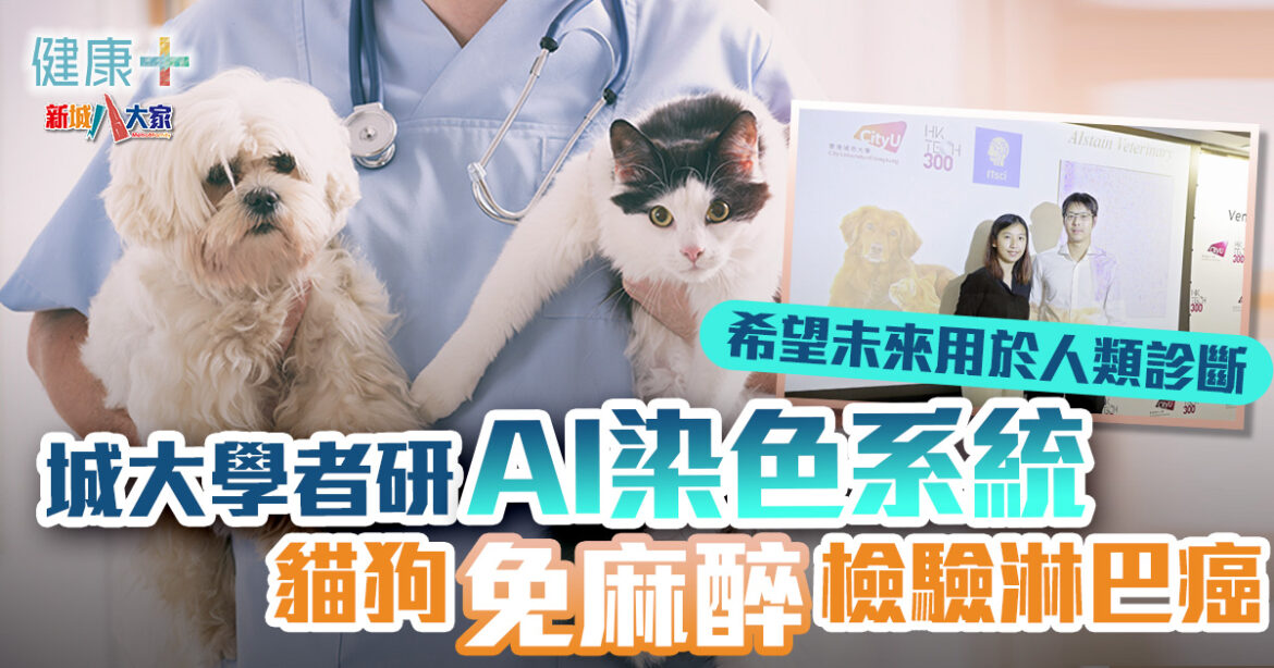 動物醫療｜城大學者研AI染色系統　貓狗免麻醉檢驗淋巴癌