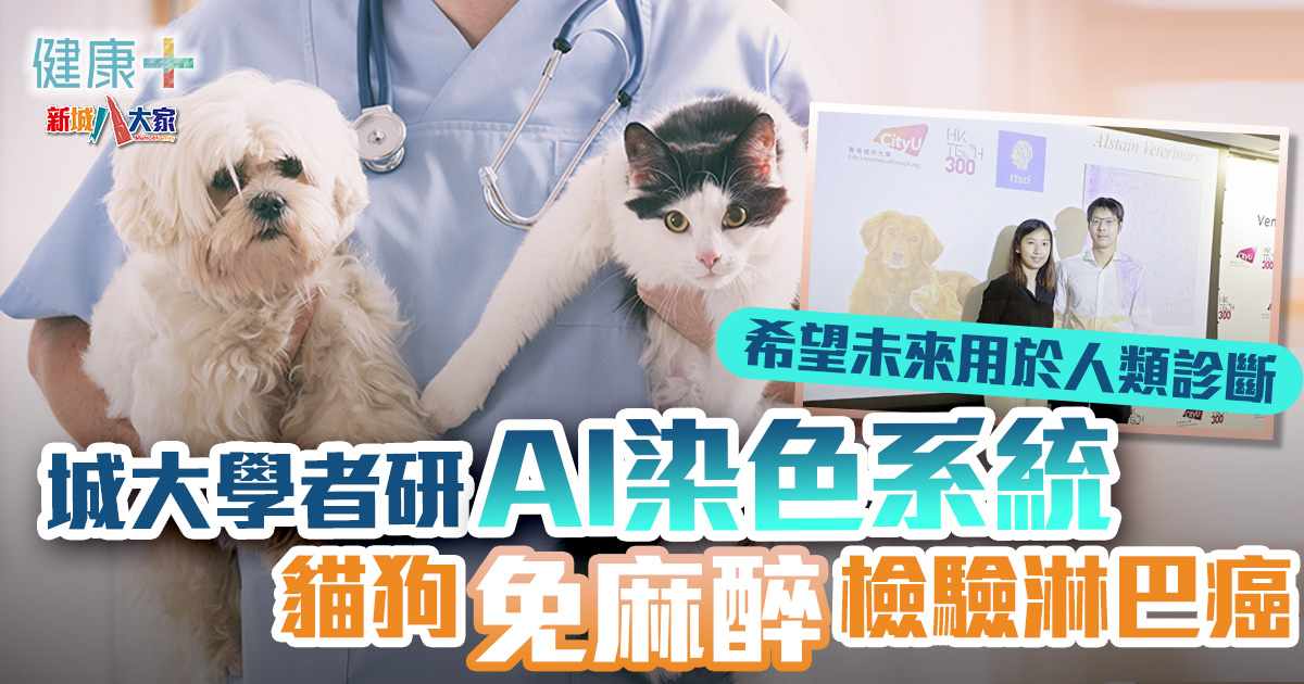 健康-醫療科技-動物醫療-ai-癌症