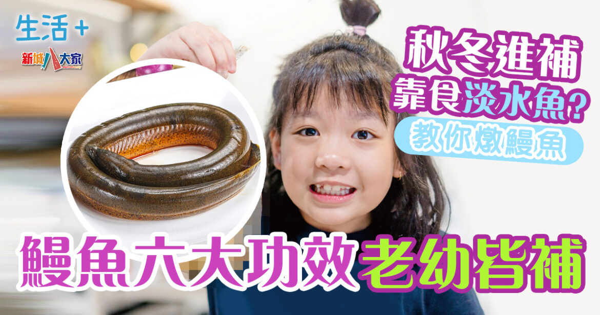 秋冬進補靠食淡水魚？鰻魚六大功效老幼皆補