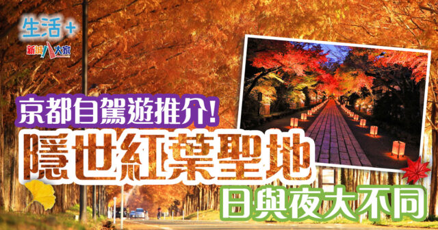 生活-旅遊-遊日攻略-好去處-京都-紅葉