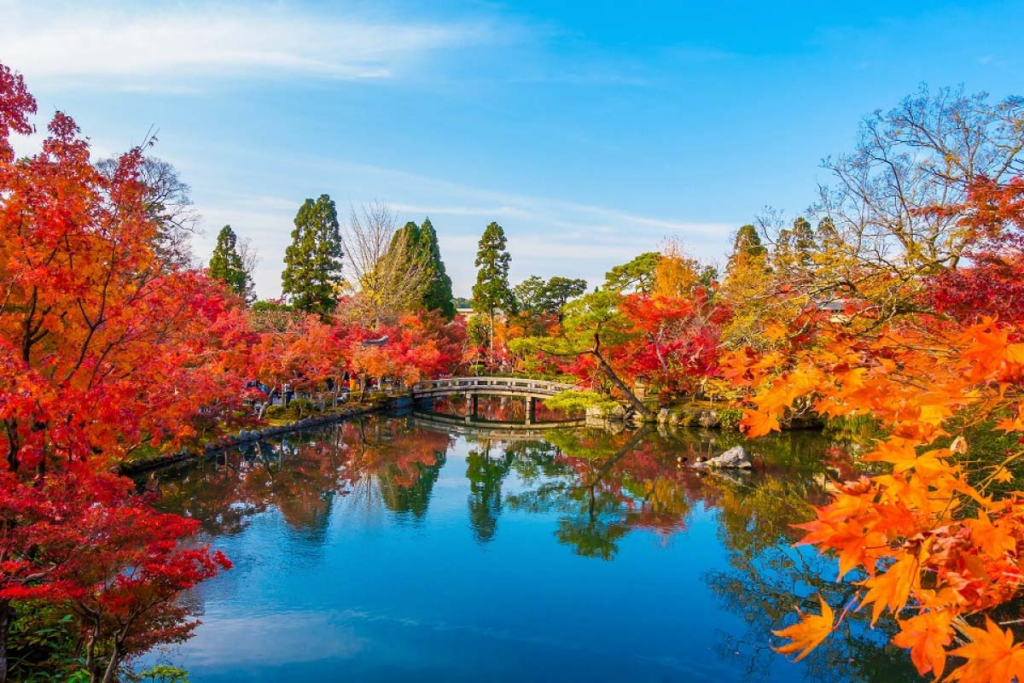 生活-旅遊-遊日攻略-好去處-京都-紅葉