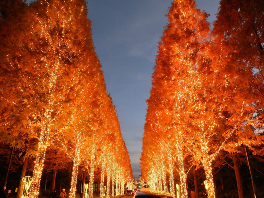 生活-旅遊-遊日攻略-好去處-京都-紅葉