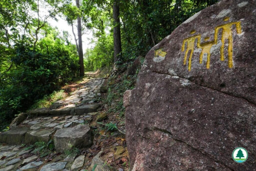 行山-遠足-好去處-大自然6