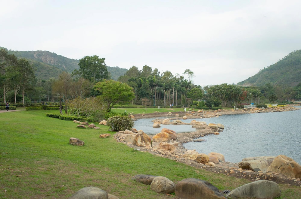 野餐-好去處-公園-毛孩-放電3