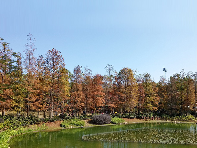 野餐-好去處-公園-毛孩-放電7