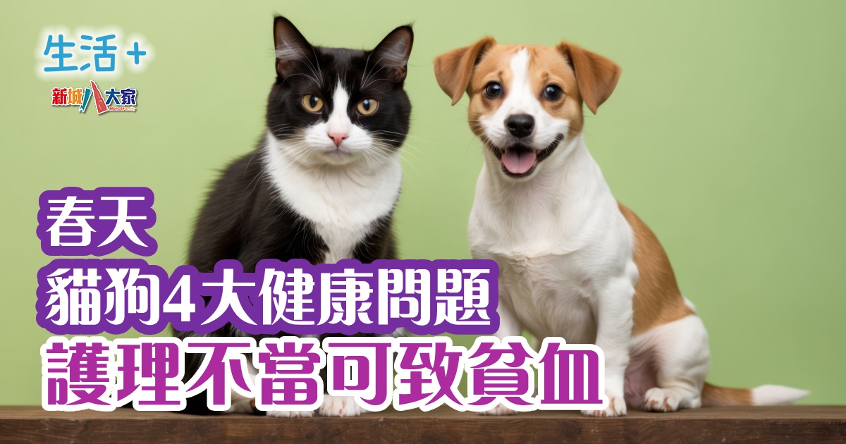 生活-家居-貓狗護理