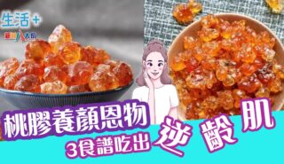 生活-飲食-營養師-中醫-食譜-桃膠