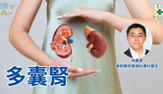 多囊腎|養和醫院腎病科專科醫生林萬斐醫生 a1
