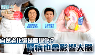 健腎建富