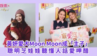 《寵愛您》|黃妍愛犬Moon Moon成「主子」 聰明芝娃娃聽懂人話愛呷醋 a1