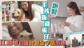 毛孩同你講心事