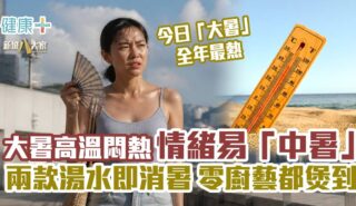 大暑熱到忟 身心勁易「中暑」兩款湯水即消暑 零廚藝都煲到 260723_MH_greatheat