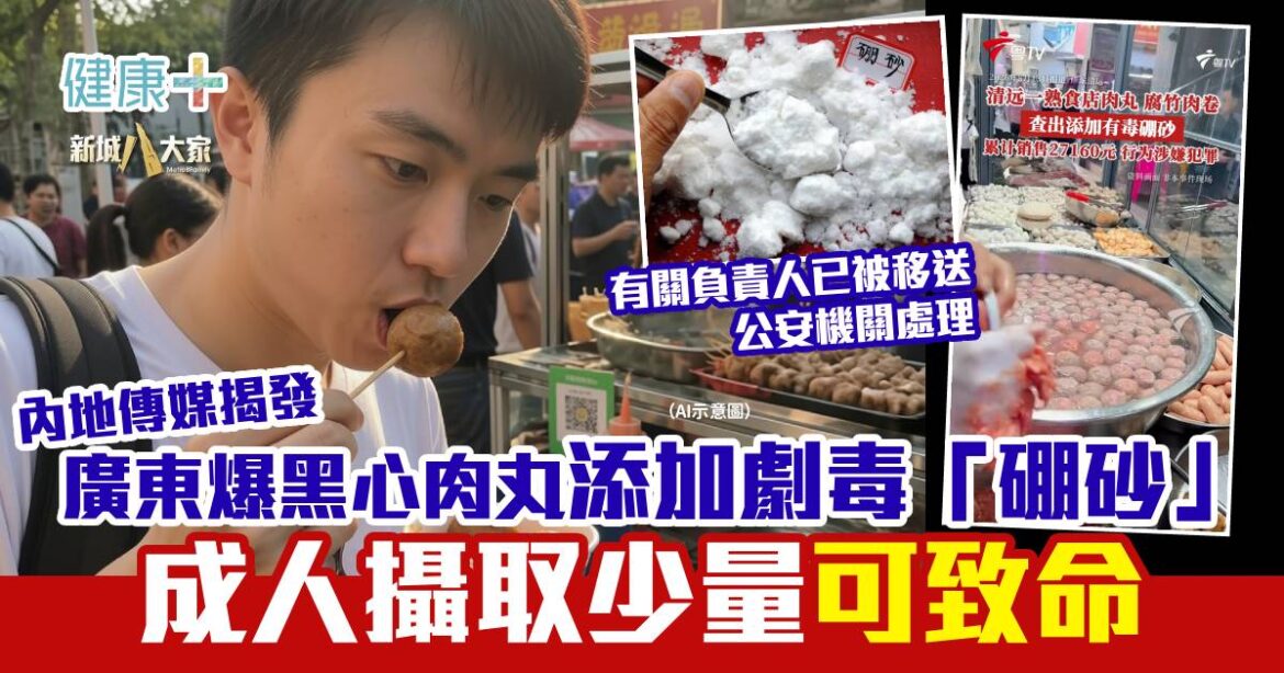 內地傳媒揭發｜廣東爆黑心肉丸添加劇毒「硼砂」成人攝取少量可致命