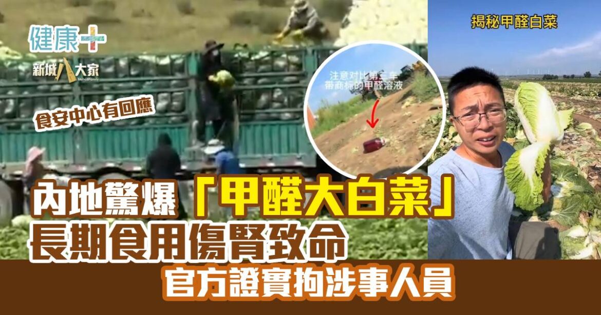 內地驚爆「甲醛大白菜 」 長期食用傷腎致命 官方證實拘涉事人員