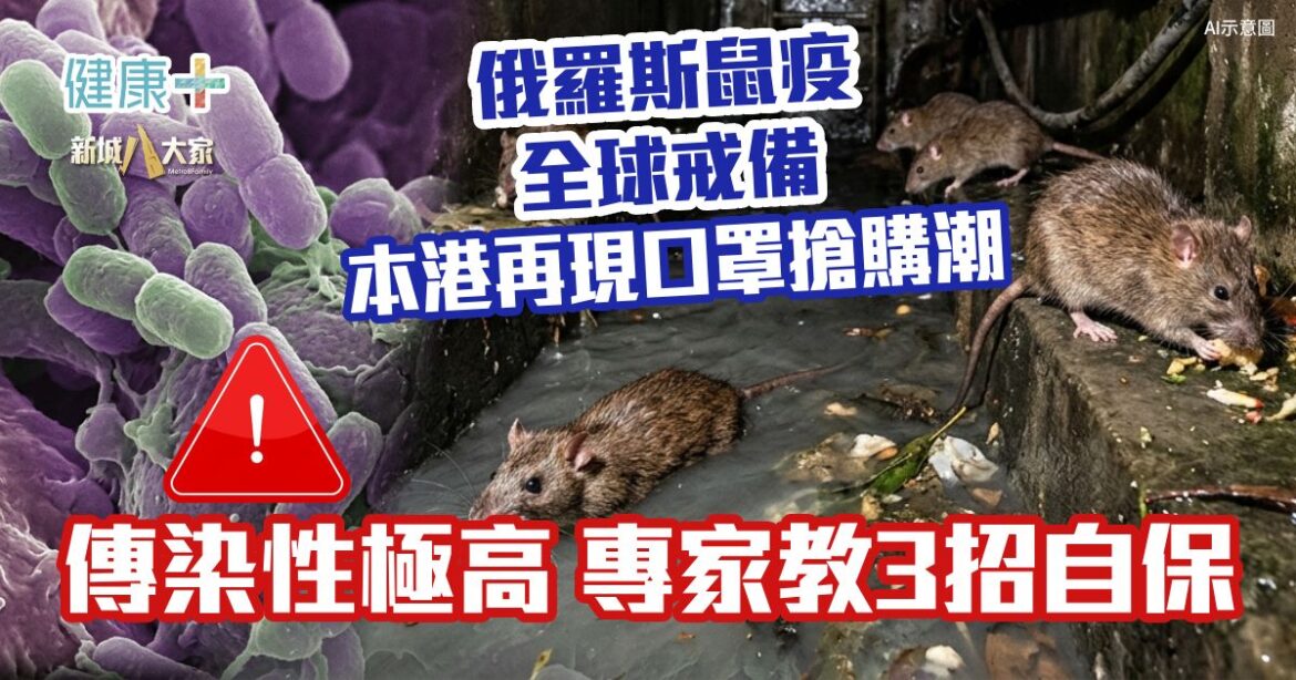 俄羅斯鼠疫全球戒備！本港再現口罩搶購潮 鼠疫傳染性極高 專家教3招自保