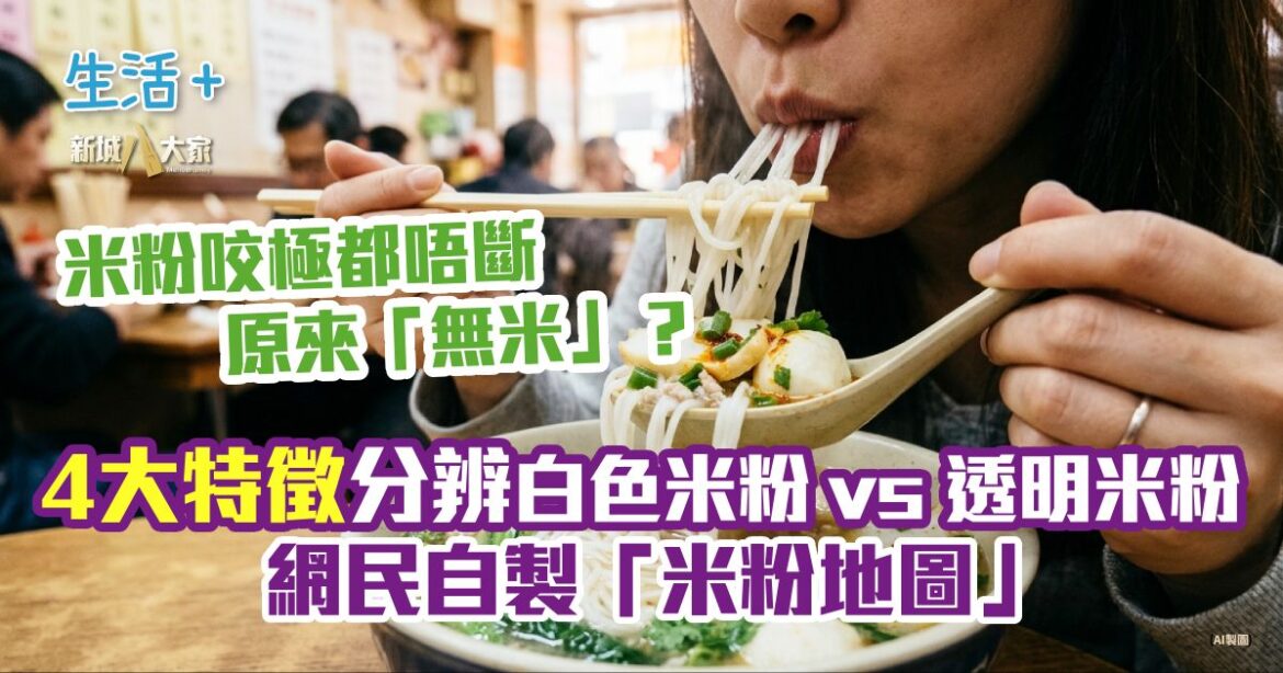 米粉咬極都唔斷原來「無米」？4大特徵分辨白色米粉 VS 透明米粉網民自製「米粉地圖」